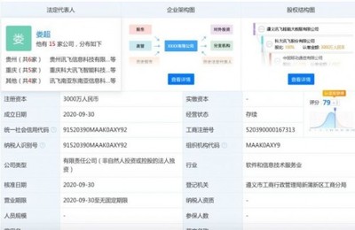 科大訊飛在遵義成立大數(shù)據(jù)公司 注冊資本3000萬人民幣