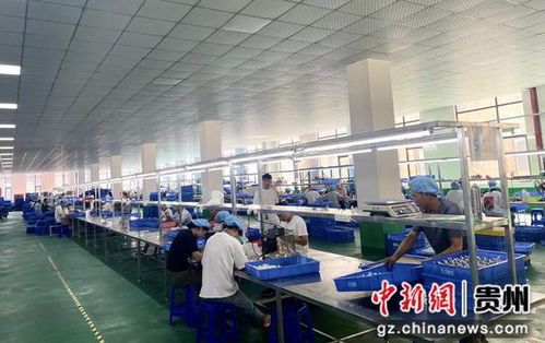 貴州銅仁 碧江工業(yè)園區(qū)引進貴州潮玩文創(chuàng)工廠